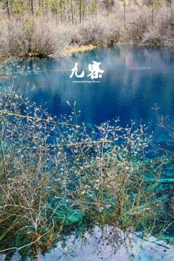 让法徽在平凡中闪耀