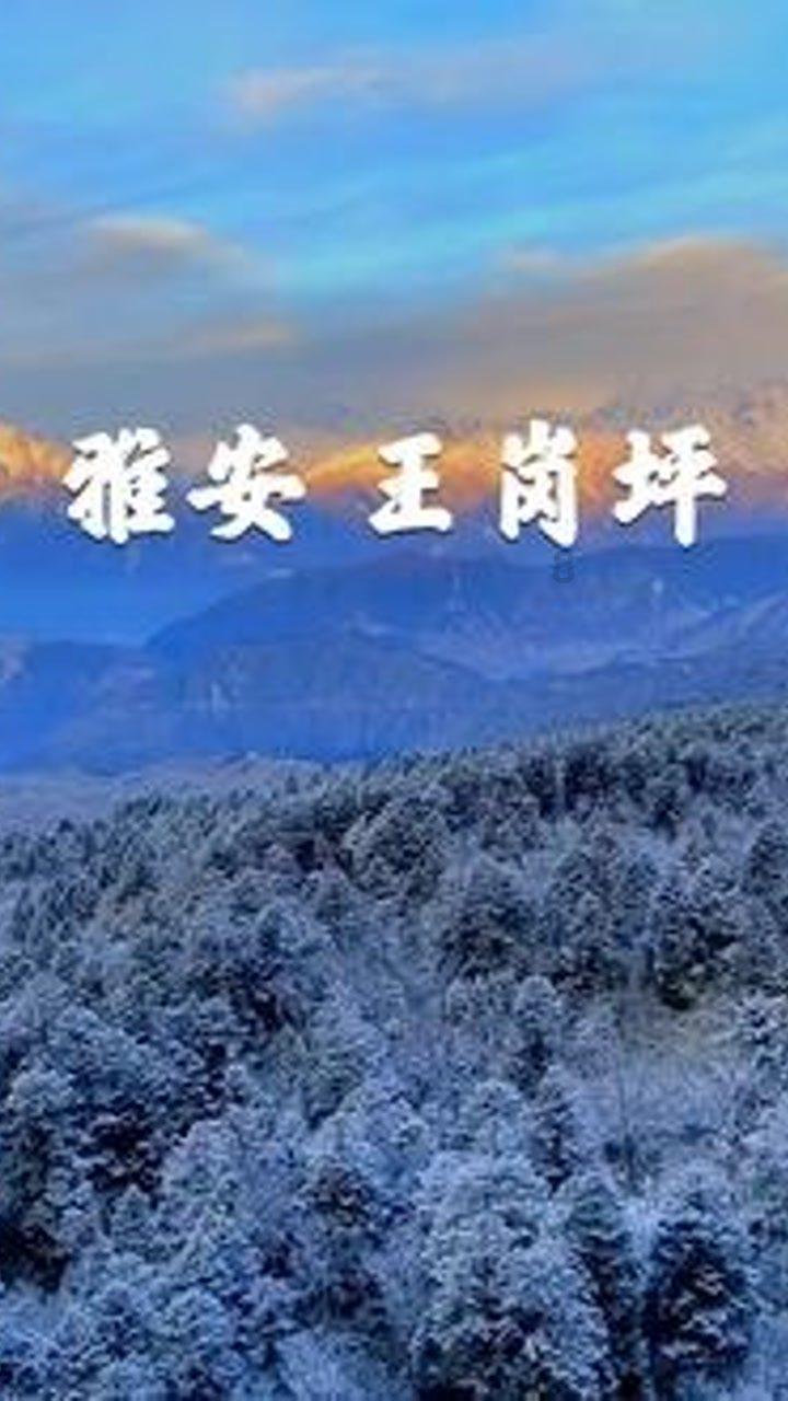 救援采蜜人