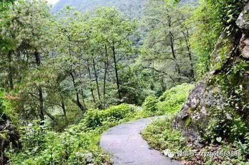 逗小猴开心系列176
