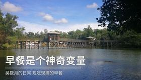 小猫钓鱼正版下载中文版