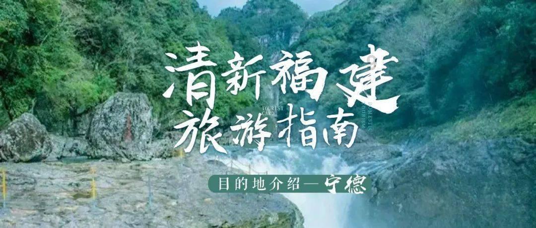 全民烧脑3去广告版