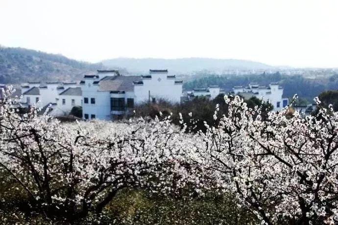 全民剧本大师内置菜单