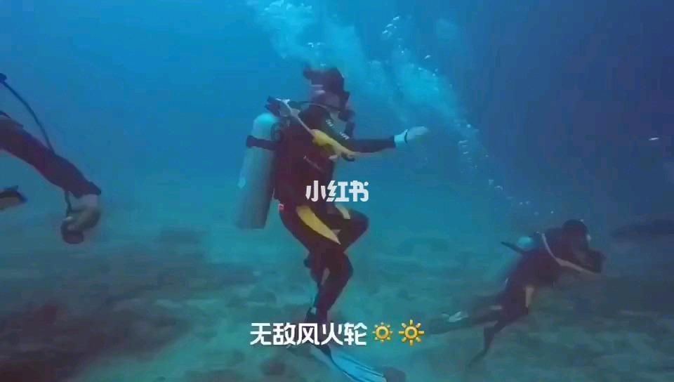 小猫钓鱼开船版最新版下载