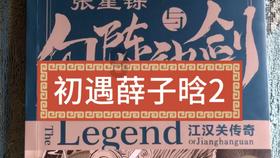 电脑说运行脚本运行速度减慢 总提示怎么办游戏画面