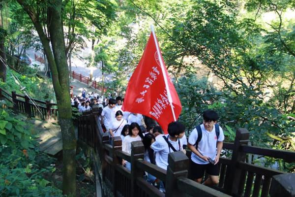 麻雀从小在家养放走能养活自己吗？游戏画面