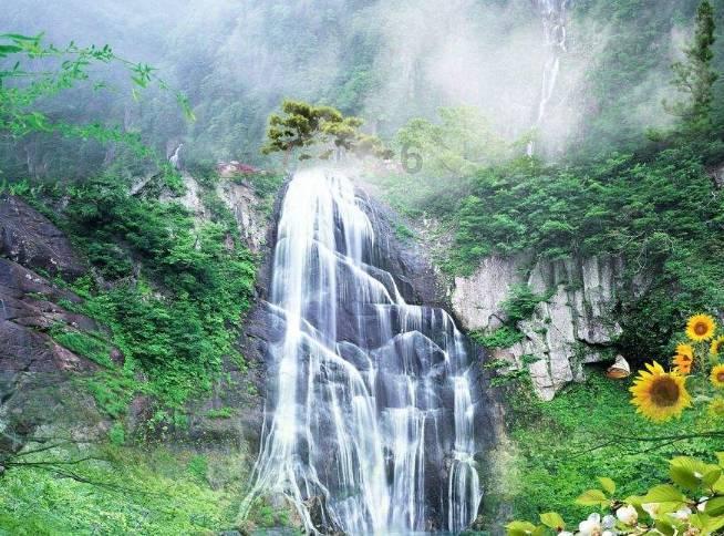 四川旅游4天3夜报价，四川黄龙四天三晚纯玩最佳线路和价位