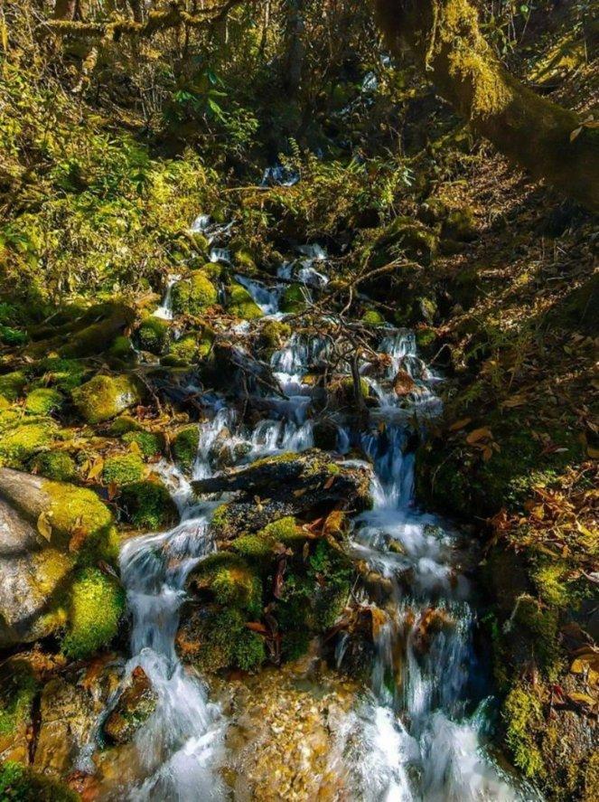 凰家看台|房地产的废墟里,八冠王在自救