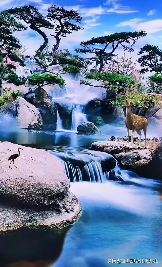救援受困的鹭