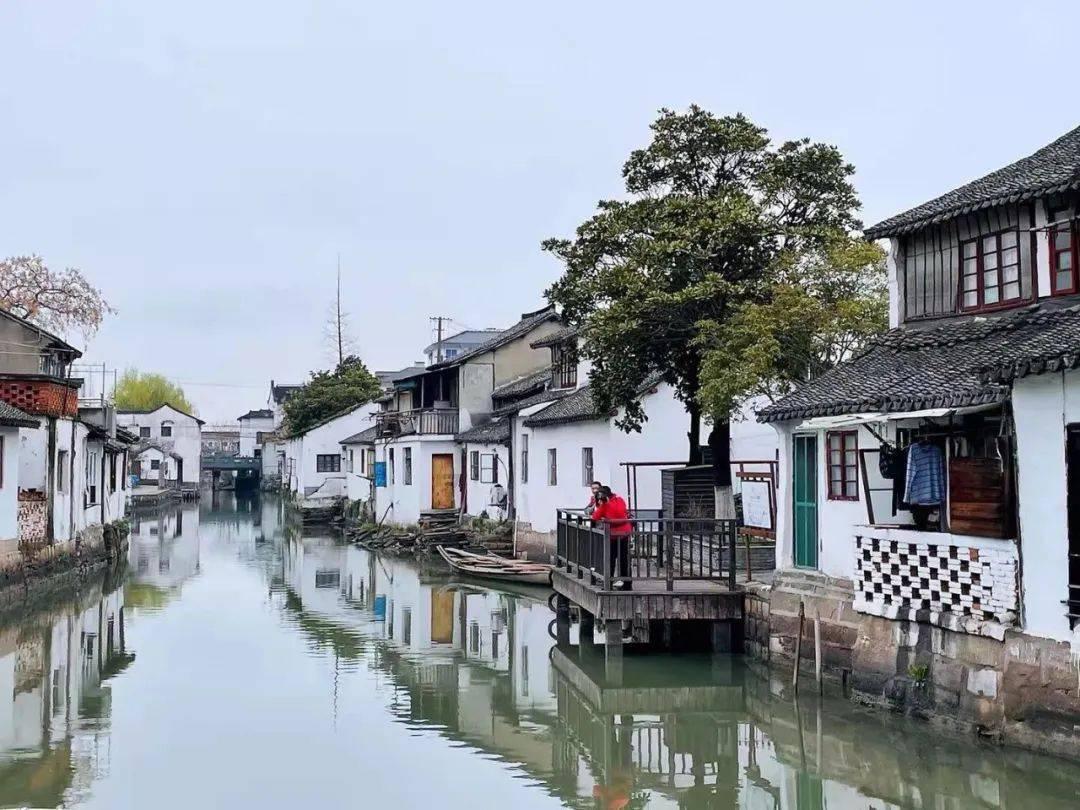 虫虫助手下载
